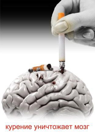 Курение уничтожает мозг